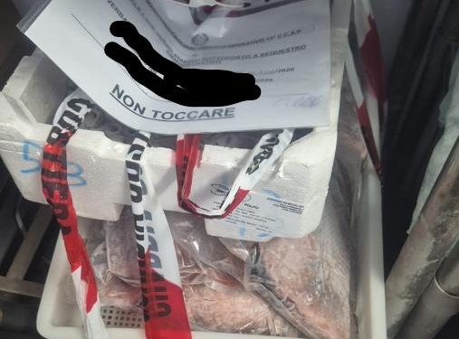 Cagliari, controlli della Guardia costiera sulla filiera della pesca: sanzioni per 14 mila euro e sequestri