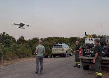 Incendio di Morgongiori, la Forestale in campo anche con i droni