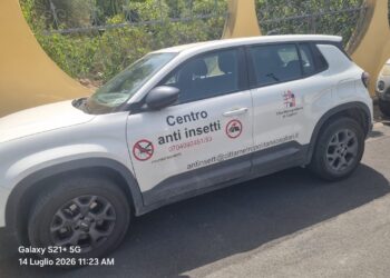Perd’e Sali, maxi recupero di 20mila api in una casa: salvata un’intera colonia senza ricorrere alla disinfestazione