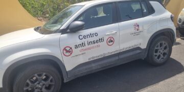 Perd’e Sali, maxi recupero di 20mila api in una casa: salvata un’intera colonia senza ricorrere alla disinfestazione