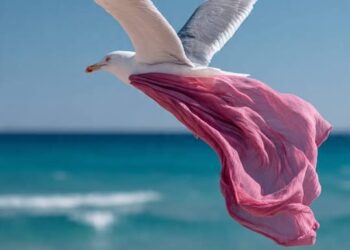 La leggenda del gabbiano Jona, ladro di mutande nella spiaggia del Poetto