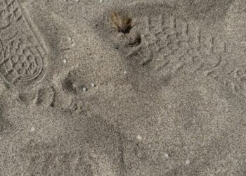 Buona estate al Poetto, trovate anche oggi nuove microsfere di plastica sulla spiaggia: prosegue l’allarme ambientale