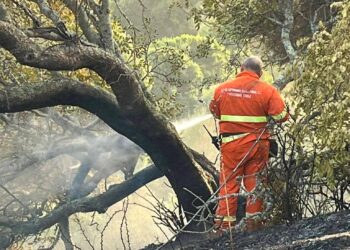 Teulada per ore sotto scacco del fuoco, due Canadair in azione: “Ecco come noi volontari, in prima linea, abbiamo salvato i cittadini”