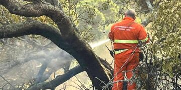Teulada per ore sotto scacco del fuoco, due Canadair in azione: “Ecco come noi volontari, in prima linea, abbiamo salvato i cittadini”