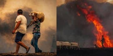 La Sardegna in fiamme raccontata con le immagini di chi cattura il dramma, la morte e la distruzione