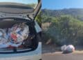 Capo Comino, dopo la vacanza in camper i rifiuti vengono gettati in strada