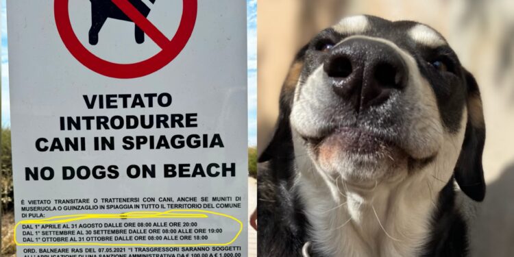 Pula, cani al mare solo la notte o la mattina prima delle 8, scatta la protesta degli animalisti: “Loro non lasciano spazzatura in spiaggia”