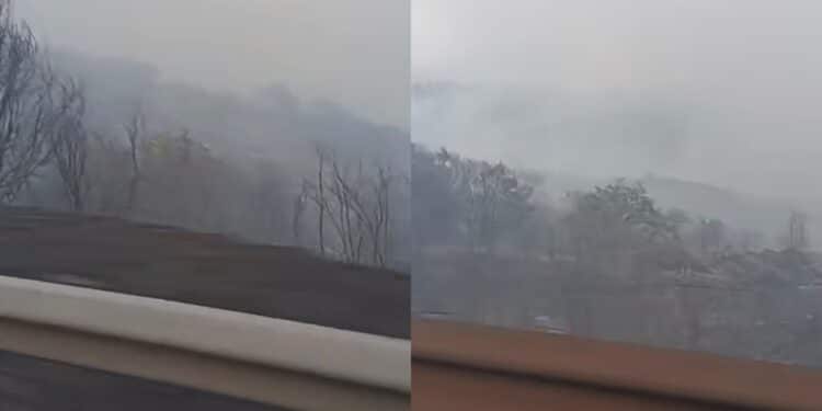 Cento ettari in fumo, evacuazioni, animali bruciati vivi e aziende distrutte: una distesa nera ad Arzana, Elini e Ilbono