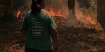 Pimentel, il fuoco minaccia il giardino dei tulipani