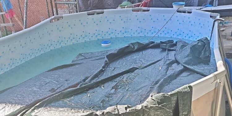 Settimo San Pietro, ladri in azione al campo estivo dei più piccoli