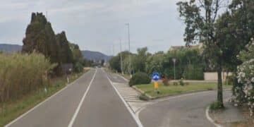 Velocità e mancato soccorso lungo la sp 91 a Capoterra: cane falciato da un’auto in corsa