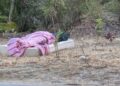 Cagliari, il parco di San Michele la notte si trasforma in un albergo a cielo aperto