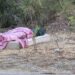 Cagliari, il parco di San Michele la notte si trasforma in un albergo a cielo aperto