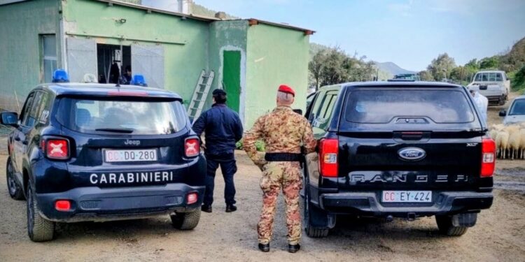 Controlli dei carabinieri nel Cagliaritano: dal 1 gennaio ritirate 242 armi da fuoco e 62 armi bianche