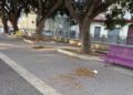 Capoterra, deiezioni canine abbandonate in mezzo alla piazza e anziani aggrediti dalle pulci