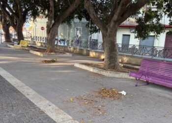 Capoterra, deiezioni canine abbandonate in mezzo alla piazza e anziani aggrediti dalle pulci