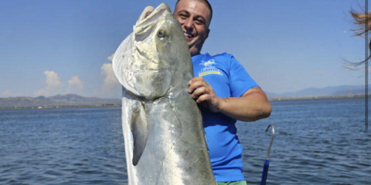 Sant’Antioco, pesca da record per Francesco Cossu: catturata una leccia amia di 25 kg