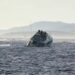 Yacht di 30 metri affonda a Porto Cervo, salvi i 14 a bordo