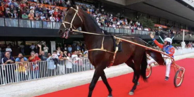 Addio a Varenne, il cavallo italiano più forte della storia: aveva 31 anni