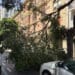 Cagliari, caduto un grosso albero in viale Trieste
