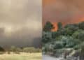 Brucia il cuore della Sardegna: da Arzana a da Elini del fuoco che divora uno dei polmoni verdi dell’Isola