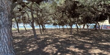 Cagliari, gite e soggiorni per over 65 e persone con disabilità: il Comune cerca operatori