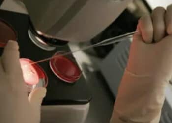 Impiantato l’embrione sbagliato per uno scambio di provette: “Errore umano”