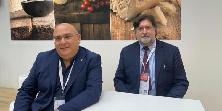 Pecorino Romano, tre borse di studio per formare i manager della filiera: c’è tempo fino al 31 agosto per candidarsi