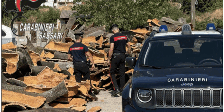 Buddusò, recuperato un ingentissimo quantitativo di plance di sughero rubate: una denuncia