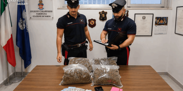 Sorso, trovato in possesso di oltre 3,7 kg di marijuana: arrestato