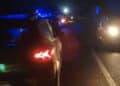 Incidente stradale nella notte fra Sant’Antioco – Calasetta: tre piccoli cinghiali falciati da un’auto in corsa