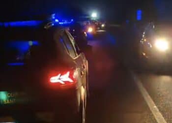 Incidente stradale nella notte fra Sant’Antioco – Calasetta: tre piccoli cinghiali falciati da un’auto in corsa