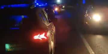 Incidente stradale nella notte fra Sant’Antioco – Calasetta: tre piccoli cinghiali falciati da un’auto in corsa