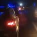 Incidente stradale nella notte fra Sant’Antioco – Calasetta: tre piccoli cinghiali falciati da un’auto in corsa
