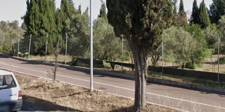 Assemini, si nasconde tra gli alberi della pista ciclabile e mostra le parti intime alle donne: attenti al maniaco