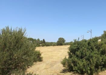 Monastir, cura del territorio e prevenzione: completati gli interventi di pulizia all’Ippodromo e al Centro Polivalente