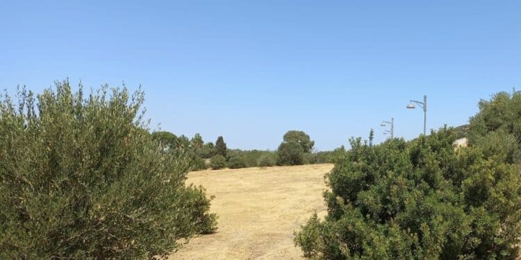 Monastir, cura del territorio e prevenzione: completati gli interventi di pulizia all’Ippodromo e al Centro Polivalente