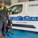 Cagliari, arriva la nuova unità cinofila della polizia locale: Victor al servizio della città