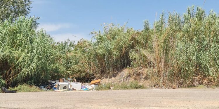 Cagliari, vergognosa discarica in via dell’Agricoltura: lavatrici, farmaci, rifiuti e topi che imperversano