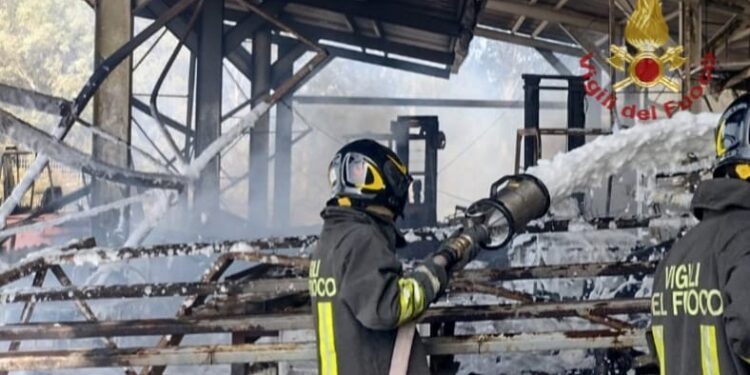 Assemini, vegetazione in fiamme a Macchiareddu: il fuoco minaccia un’azienda