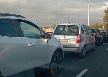 Poetto nel caos per le potature, la minoranza all’attacco: “Mancavano segnaletica e informazioni, migliaia di automobilisti bloccati”