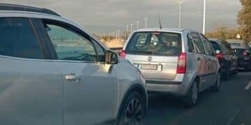Poetto nel caos per le potature, la minoranza all’attacco: “Mancavano segnaletica e informazioni, migliaia di automobilisti bloccati”