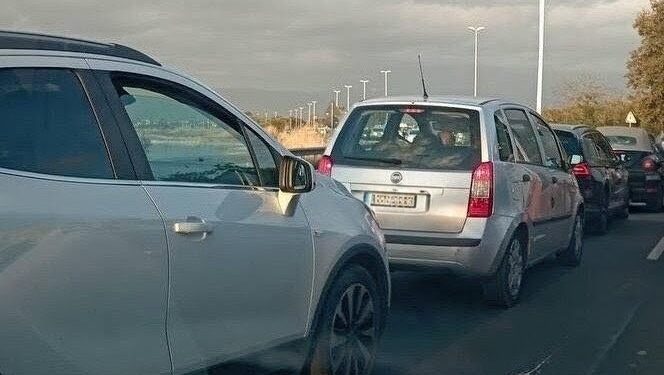 Poetto nel caos per le potature, la minoranza all’attacco: “Mancavano segnaletica e informazioni, migliaia di automobilisti bloccati”