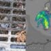 Caditoie intasate da foglie e detriti, a Cagliari e hinterland è allarme