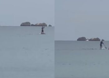 Poetto, delfini scambiati per squali: due bagnanti sul sup fuggono a gran velocità