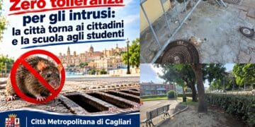 Emergenza roditori a Cagliari: la Città Metropolitana avvia un piano straordinario di derattizzazione integrata