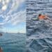 Da Villasimius al Poetto a nuoto in solitaria: straordinaria impresa per Matteo Picci