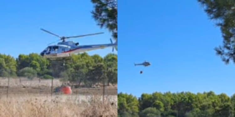 Collinas, incendio doloso minaccia il Nuraghe de S’Orcu: evitata una catastrofe