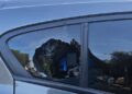 Furti e auto danneggiate, a Elmas è allarme sicurezza