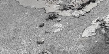 Sestu, dopo un acquazzone via Monserrato si riempie di liquami fognari